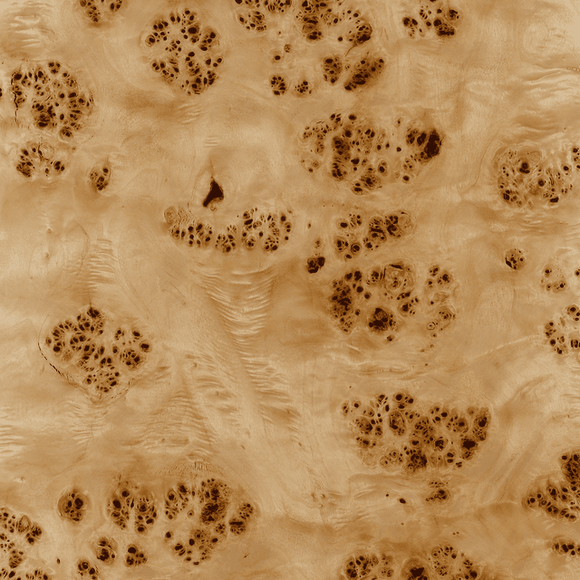 Exotic_Mapa_Burl