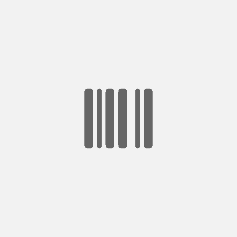 Barcode Icon